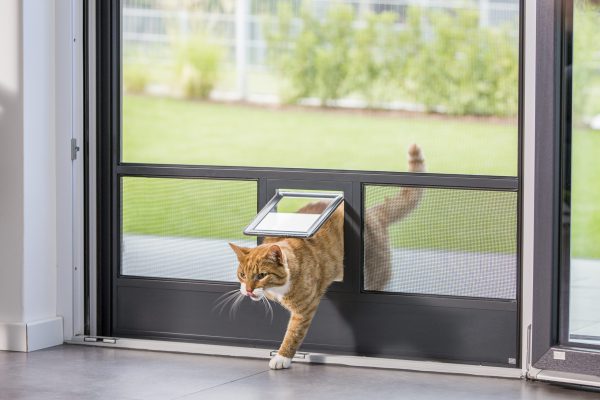 Insektenschutz Drehtür mit integrierter Katzenklappe an Terrassentür